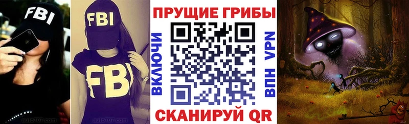 как найти наркотики  Катав-Ивановск  Галлюциногенные грибы Psilocybine cubensis 